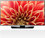 LG 43LF6309